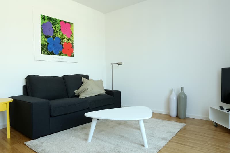 Möblierte 2-Zimmer-Dachwohnung mit Balkon (5)