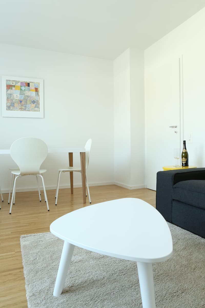Möblierte 2-Zimmer-Dachwohnung mit Balkon (4)