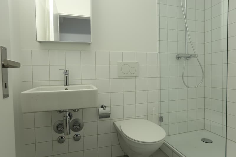 Moderne 1-Zimmerwohnung an zentraler Lage in Basel (2)