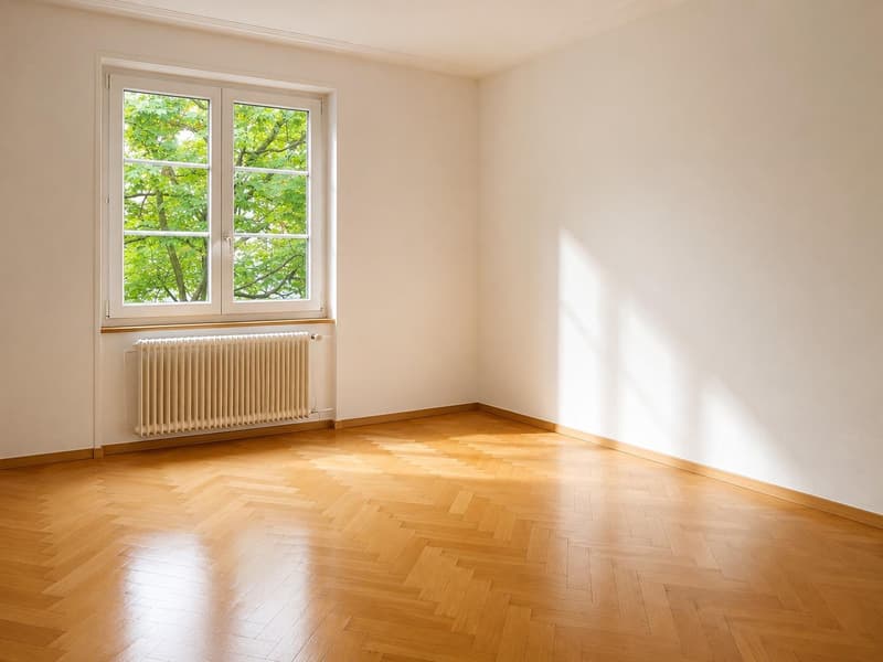 3.0 Zimmerwohnung in Basel (1)