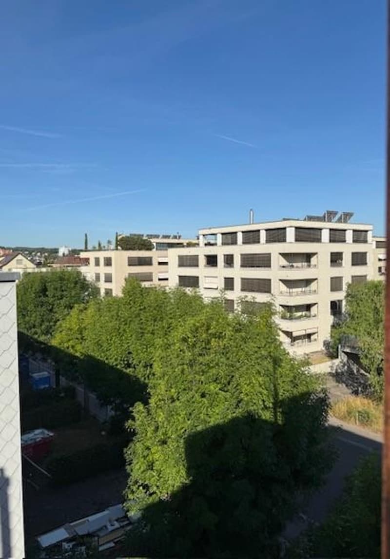Kleine Loftwohnung unter dem Dach (10)
