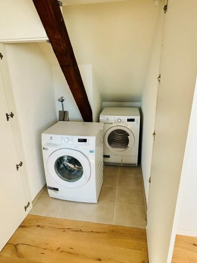 Kleine Loftwohnung unter dem Dach (9)