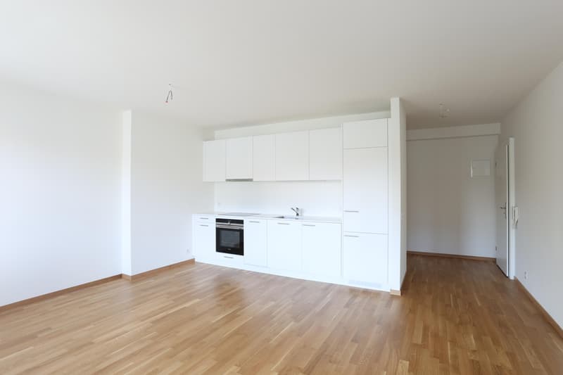 renovierte 3-Zimmerwohnung nähe Bahnhof SBB (2)
