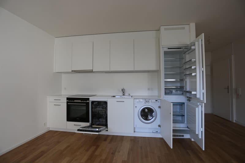 renovierte 3-Zimmerwohnung nähe Bahnhof SBB (3)