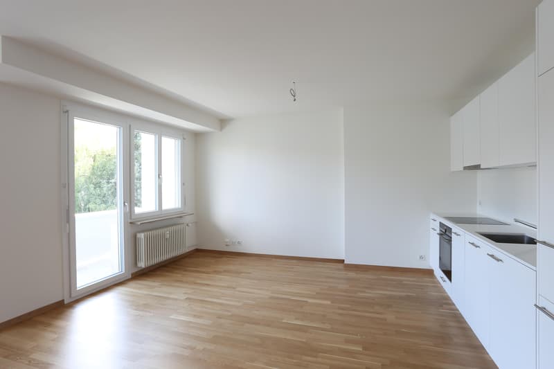 renovierte 3-Zimmerwohnung nähe Bahnhof SBB (4)