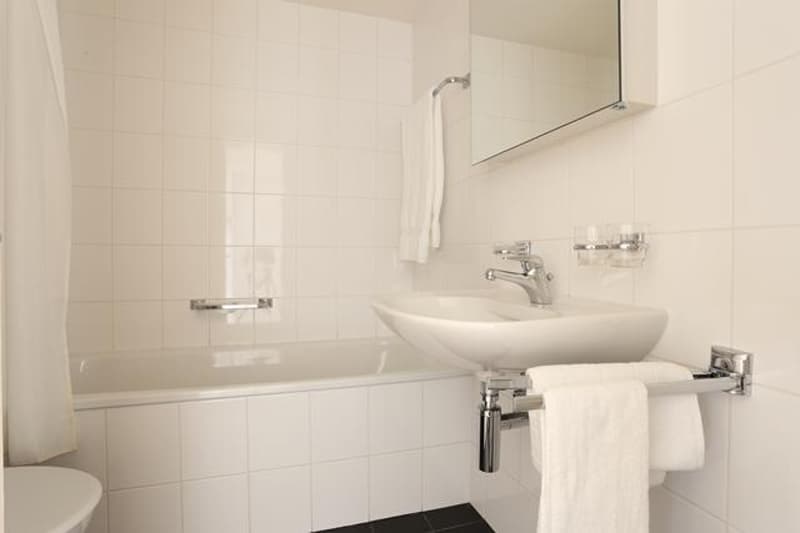 attraktive 3-Zimmerwohnung an ruhiger Lage (4)