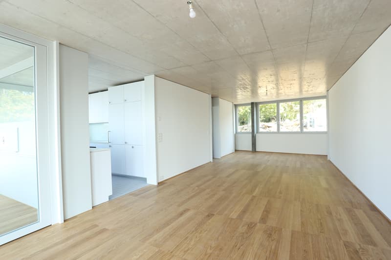 3.5 Zimmerwohnung in Therwil (6)