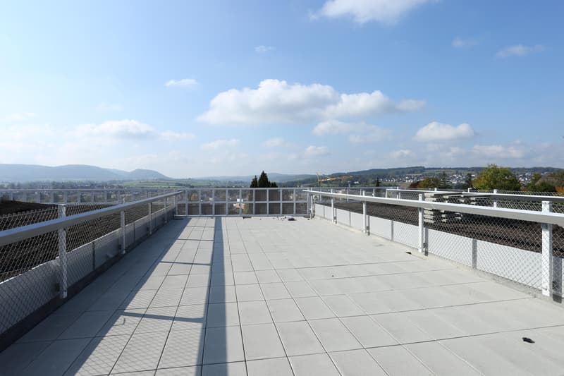 3.5 Zimmerwohnung in Therwil (8)