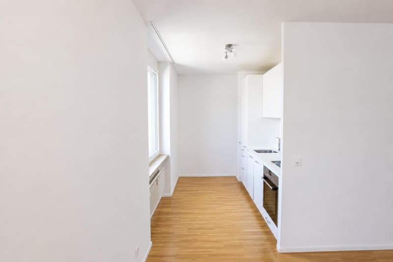 Moderne 2-Zimmerwohnung zu vermieten (1)