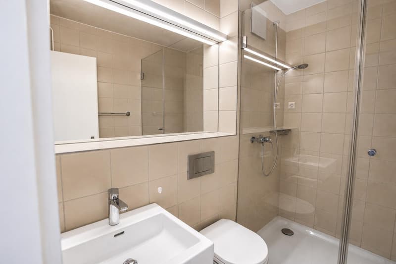 Moderne 2-Zimmerwohnung zu vermieten (4)