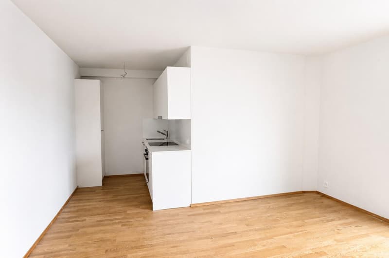 Renovierte 1-Zimmerwohnung nähe Bahnhof SBB (2)