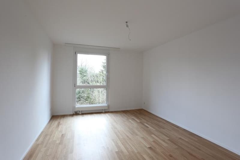 Moderne 2.5-Zimmerwohnung Nähe der Langen Erlen (3)