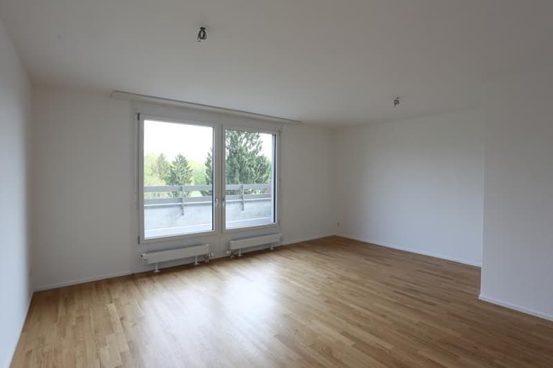 Sonnige 3,5-Zimmer-Dachwohnung Nähe der Langen Erlen (5)