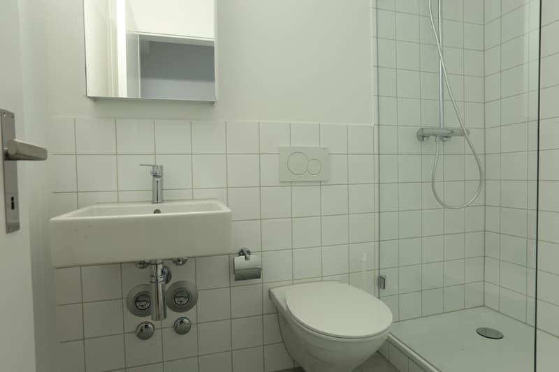 Moderne 1-Zimmerwohnung nähe Bahnhof SBB (3)