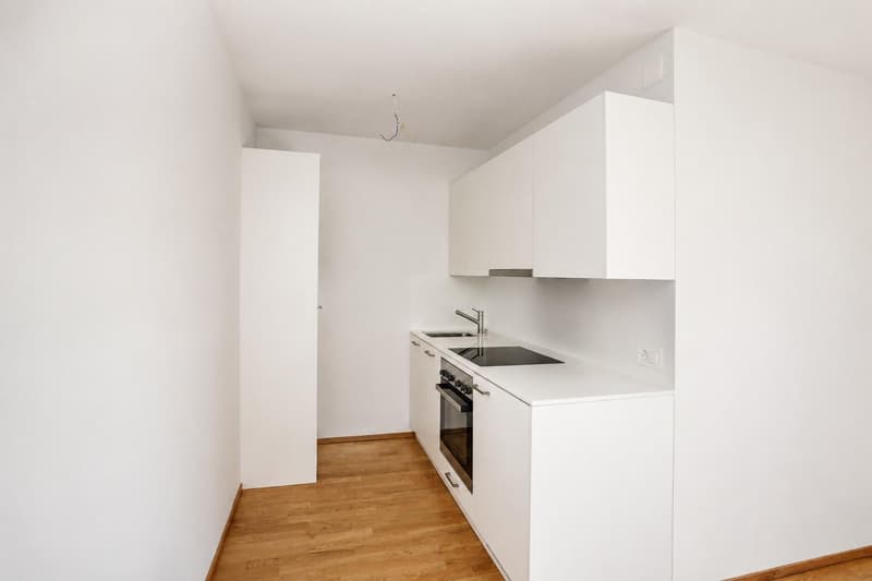 Renovierte 1-Zimmerwohnung nähe Bahnhof SBB (4)