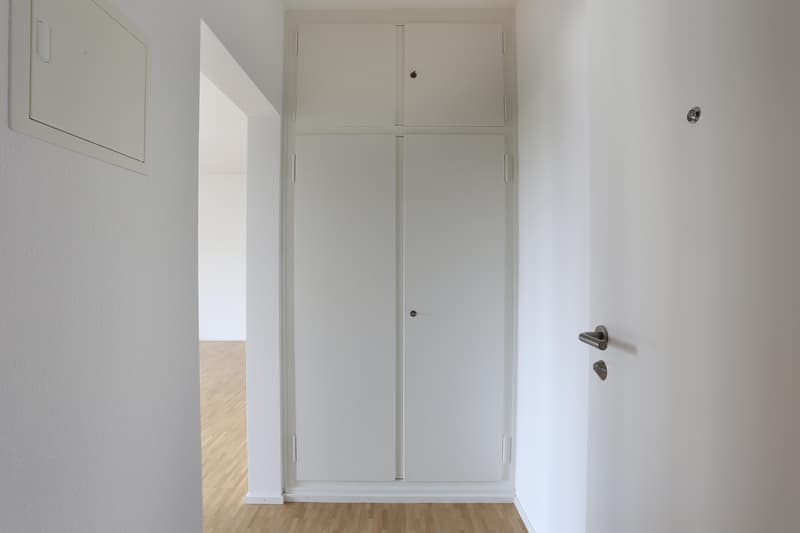 renovierte 1- Zimmerwohnung in Basel nähe Felix Platter Spital (6)