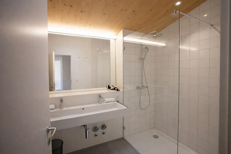 Möblierte 3-Zimmer-Dachwohnung im Paulus-Quartier (6)