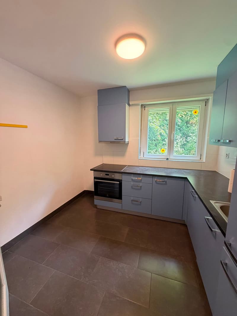 Helle 3-Zimmer-Wohnung mit Balkon in zentraler Lage Schaffhausen (3)