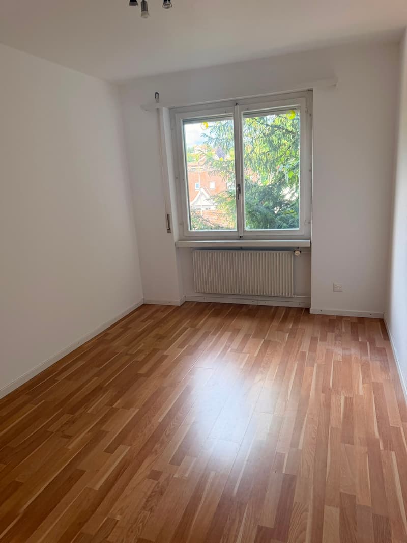 Helle 3-Zimmer-Wohnung mit Balkon in zentraler Lage Schaffhausen (6)