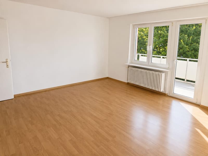 Gemütliche 3-Zimmer-Wohnung mit Balkon in Hägglingen (2)