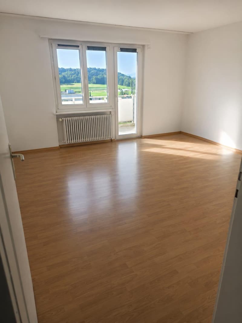 Gemütliche 3-Zimmer-Wohnung mit Balkon in Hägglingen (3)
