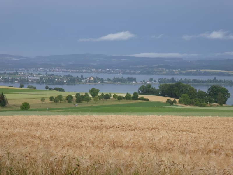 Hochwertige 3.5-Zimmerwohnung in Seenähe mit zwei Balkonen (12)