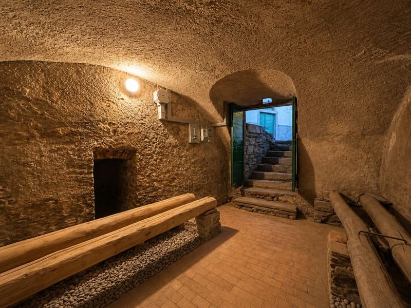 Authentischer Rückzugsort inmitten der Natur: Tessiner Keller in Mendrisio-Salorino (7)