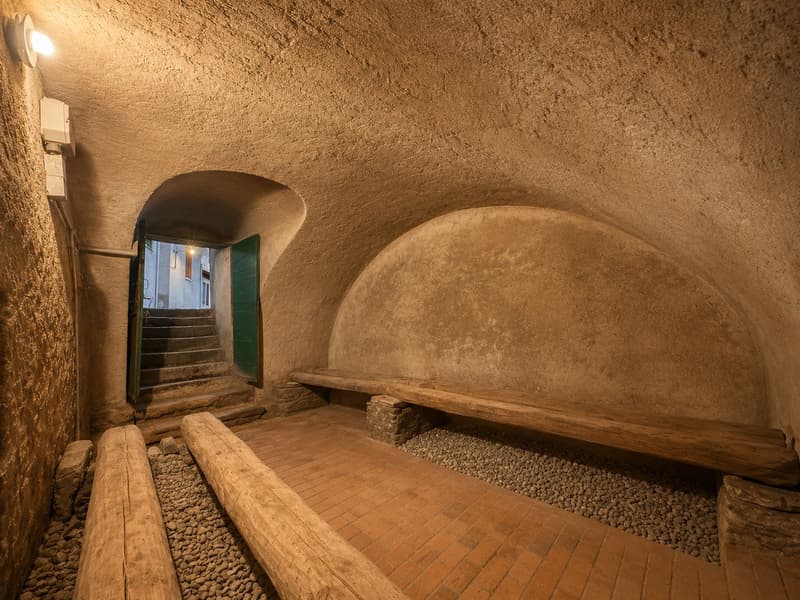 Authentischer Rückzugsort inmitten der Natur: Tessiner Keller in Mendrisio-Salorino (6)