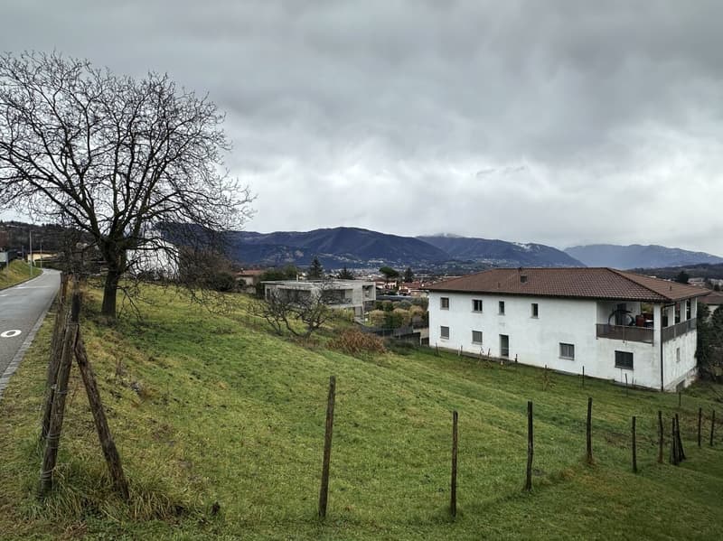 Buildable Plot in a Residential Area in Stabio (2)