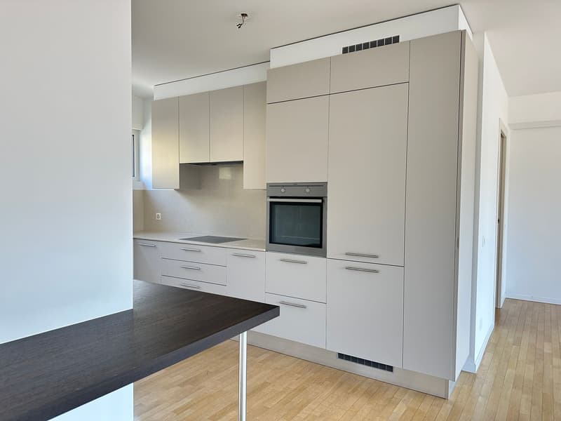 Grosszügige Wohnung mit Terrasse und freier Aussicht in ruhiger Lage von Vacallo (2)
