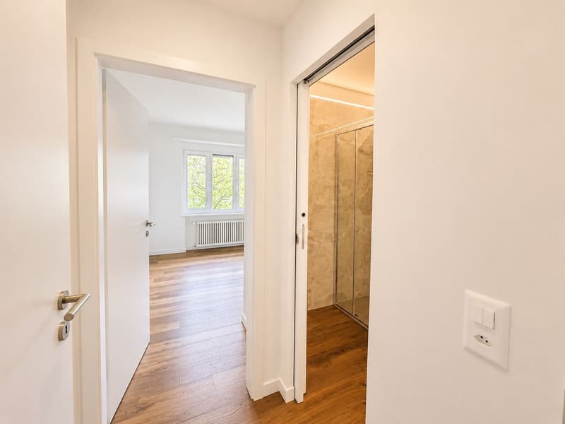 Elegante 4.5 locali ristrutturato in bella zona residenziale a Stabio (6)