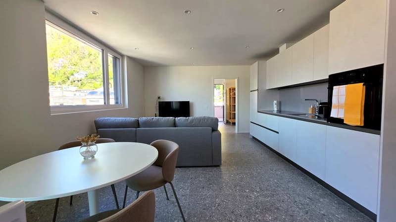 Ferienwohnung in Neubau (1)