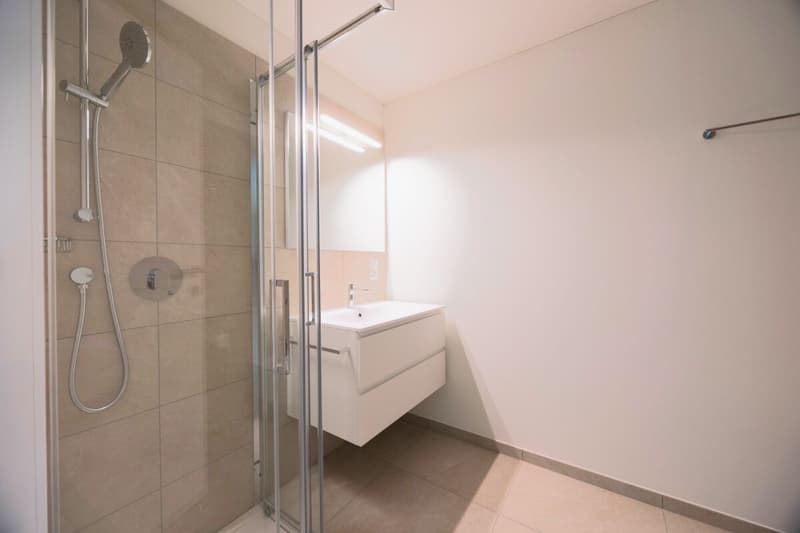 Letzte Gelegenheit 4.5 Zimmer Wohnung mit privatem Garten in Gordola (7)