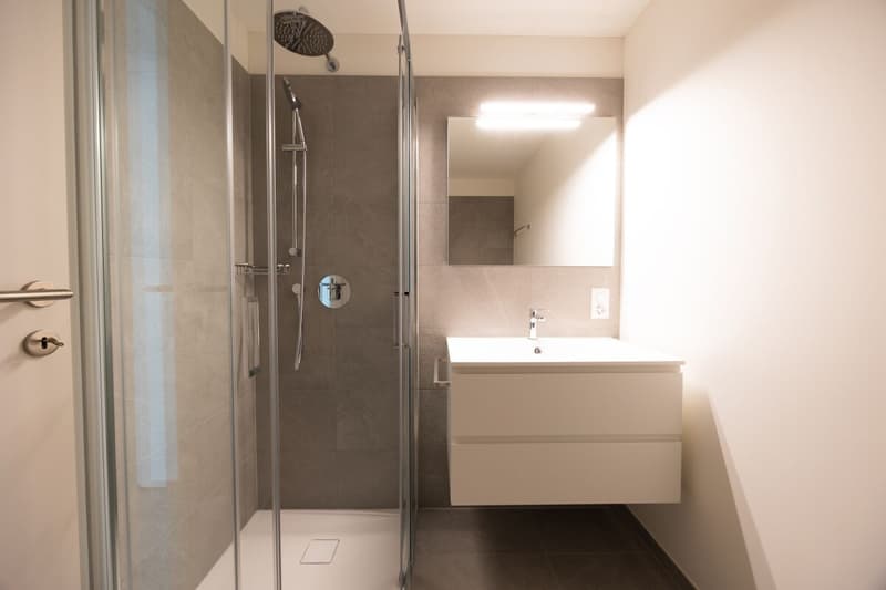 Neue 4.5-Zimmer-Wohnung mit Garten - Residenz Ai Giardini (11)
