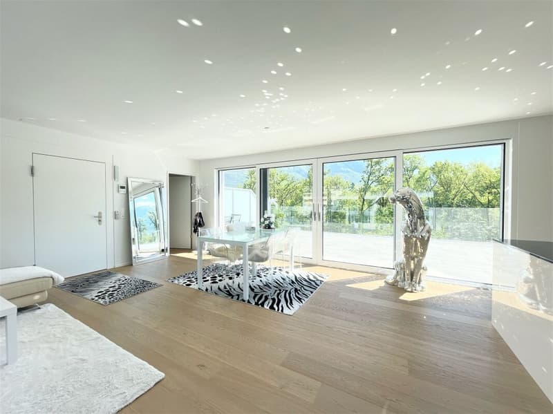 Exklusives Dachduplex in Locarno zwischen Luxus und Natur - Residenza Parcolago (2)