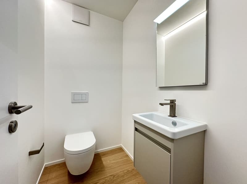 Prestigeträchtig wohnen in Minusio in der Residenz Estate & Esplanade (14)