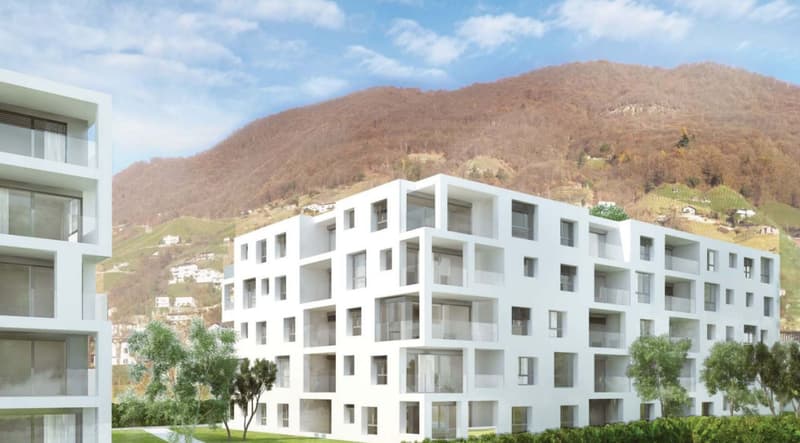 Unique Opportunity: Lot of Three Modern Apartments (4)