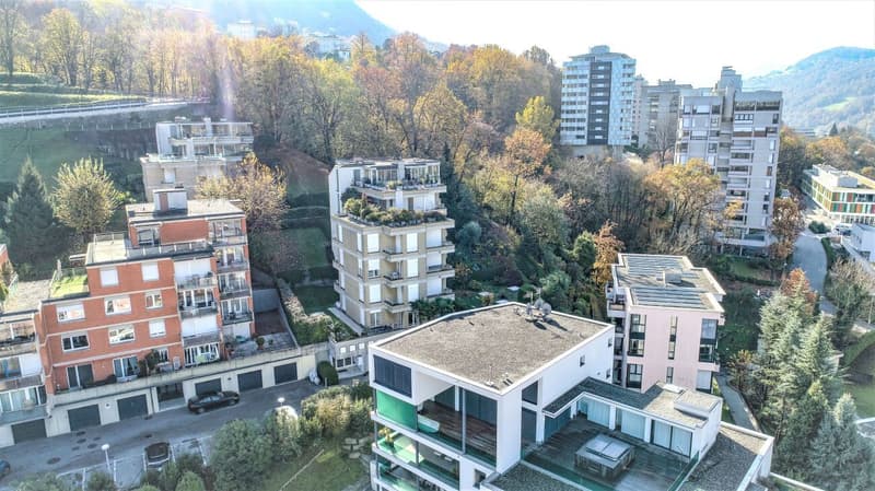 Wunderschönes Attikawohnung mit Seeblick (12)