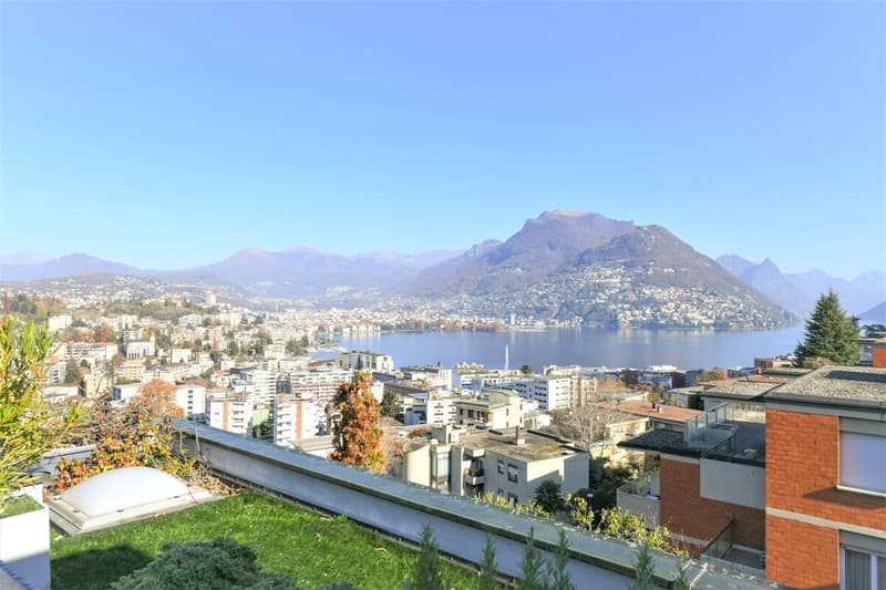 Wunderschönes Attikawohnung mit Seeblick (1)