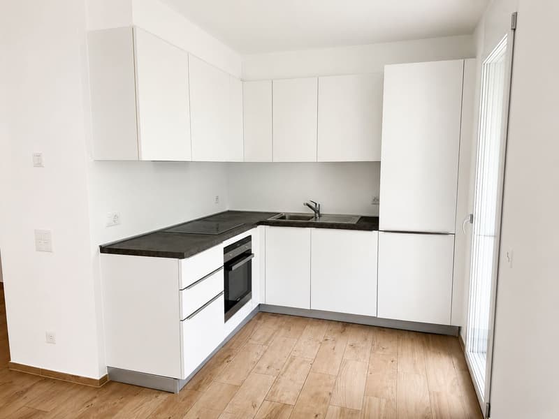 3.5-Zimmer-Wohnung mit grossem Privatgarten in Vacallo (3)