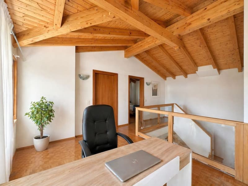 Beautiful house with garden (10)