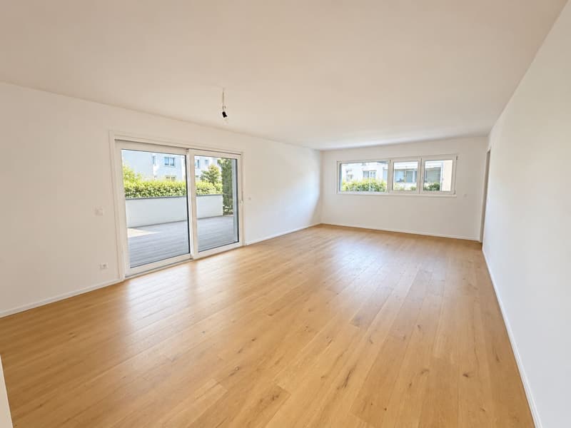 MENDRISIO - Spazioso appartamento 4.5 locali con studio, lavanderia privata, terrazza e giardino (1)