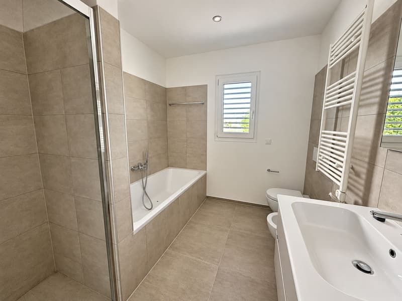 MENDRISIO - Spazioso appartamento 4.5 locali con studio, lavanderia privata, terrazza e giardino (13)