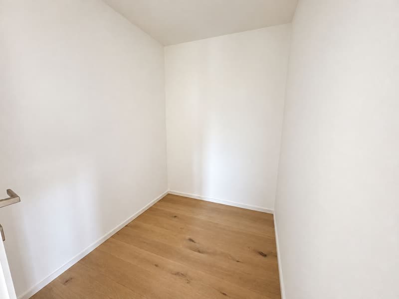MENDRISIO - Spazioso appartamento 4.5 locali con studio, lavanderia privata, terrazza e giardino (3)