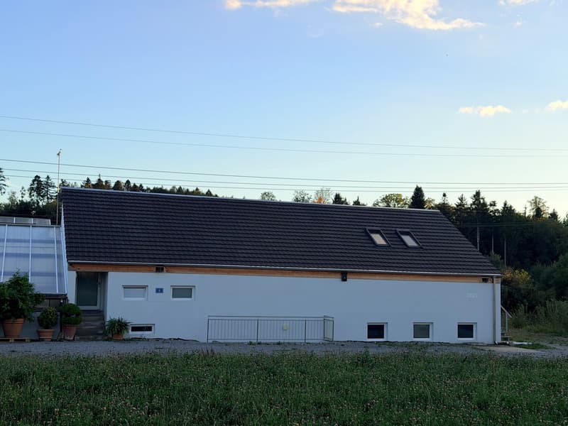 Gewerbefläche / Atelier zu vermieten (2)