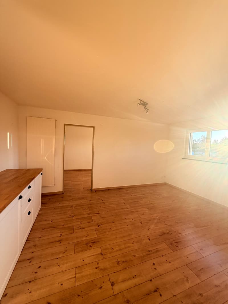 Charmante 4.5 Zimmerwohnung in der Natur (8)