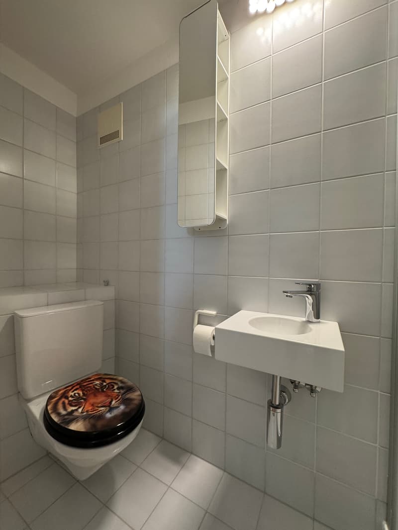 Modern bathroom with white tiles, white sink with chrome faucet, white toilet with tiger-print lid, and a mounted mirror with built-in shelves.