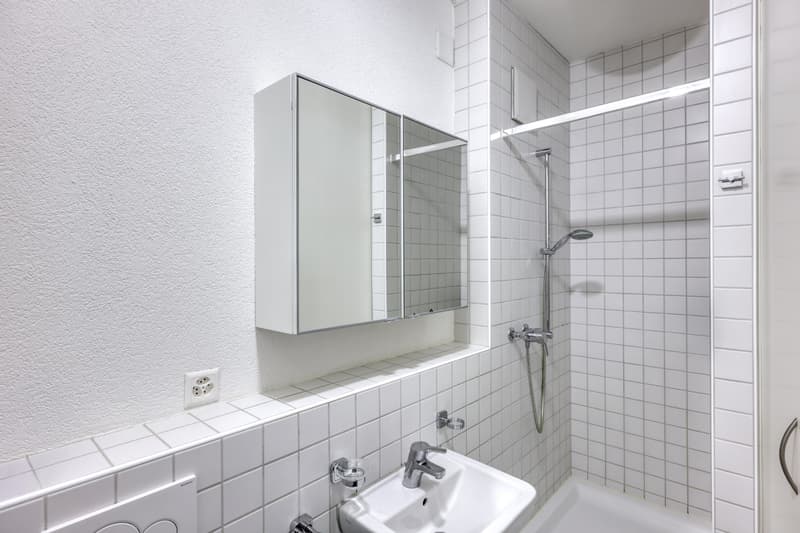 Moderne, zentrale Wohnung mit Gartensitzplatz im Grünen! (5)