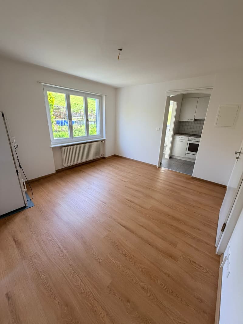 1-Zimmer-Wohnung an ruhiger Lage zu vermieten (2)
