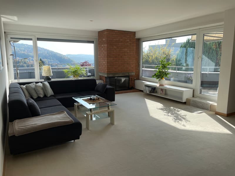 Exklusive Terrassenwohnung mit traumhafter Aussicht über Adliswil (3)